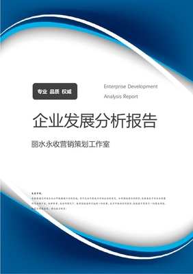 麗水永收營銷策劃工作室企業(yè)發(fā)展與營銷策略分析報告