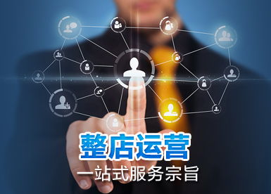 天貓?zhí)詫毦W(wǎng)店運(yùn)營(yíng)公司團(tuán)隊(duì)的組成與企業(yè)營(yíng)銷策劃